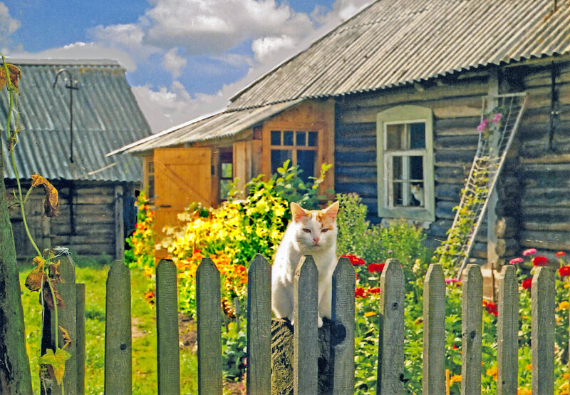 Красивые фото деревенской жизни